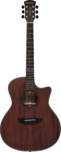 Orangewood Morgan Mahogany Live